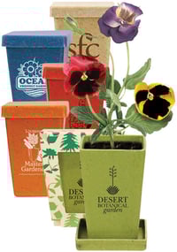 Wedding_Favors_Your_Guests_Will_actually_Love_-_flower_planters.jpg Wedding_Favors_Your_Guests_Will_actually_Love_-_flower_planters.jpg